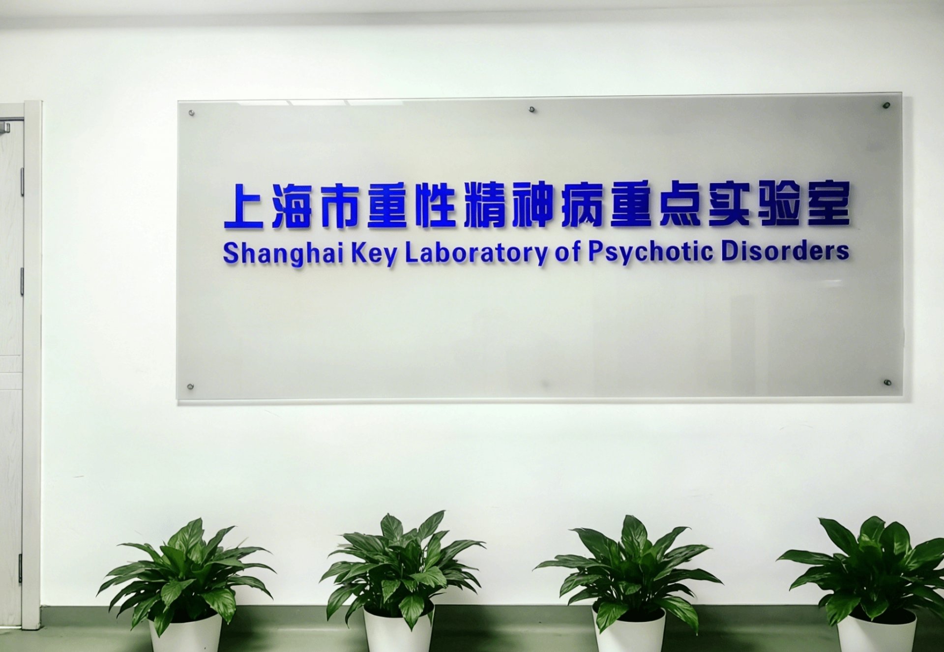 贝博在线体育app官网优惠活动精神疾