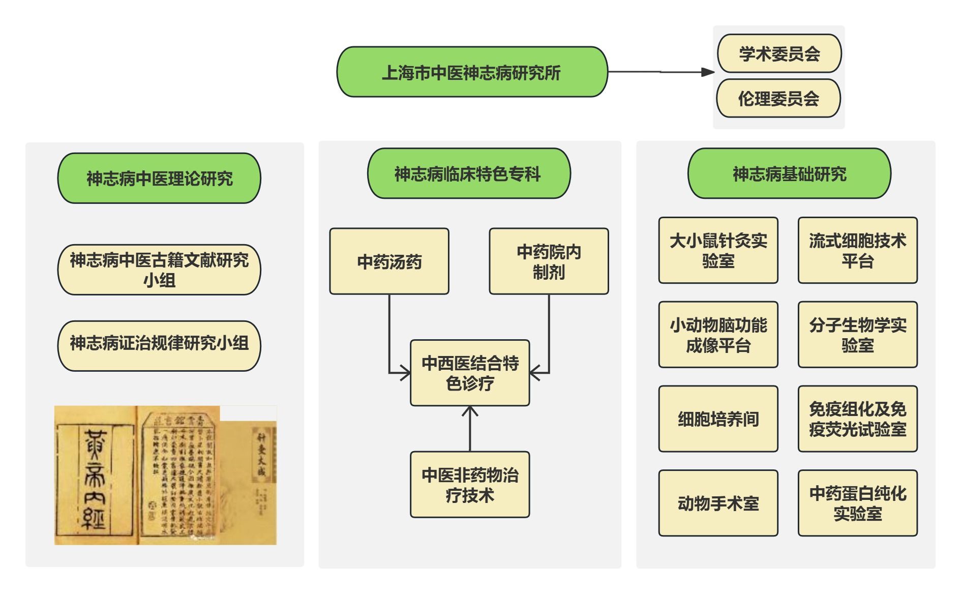 上海市中医神志病研究所成立于2021