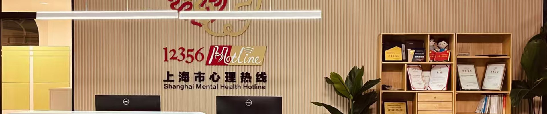 上海市公共精神卫生工作深入贯彻落实党